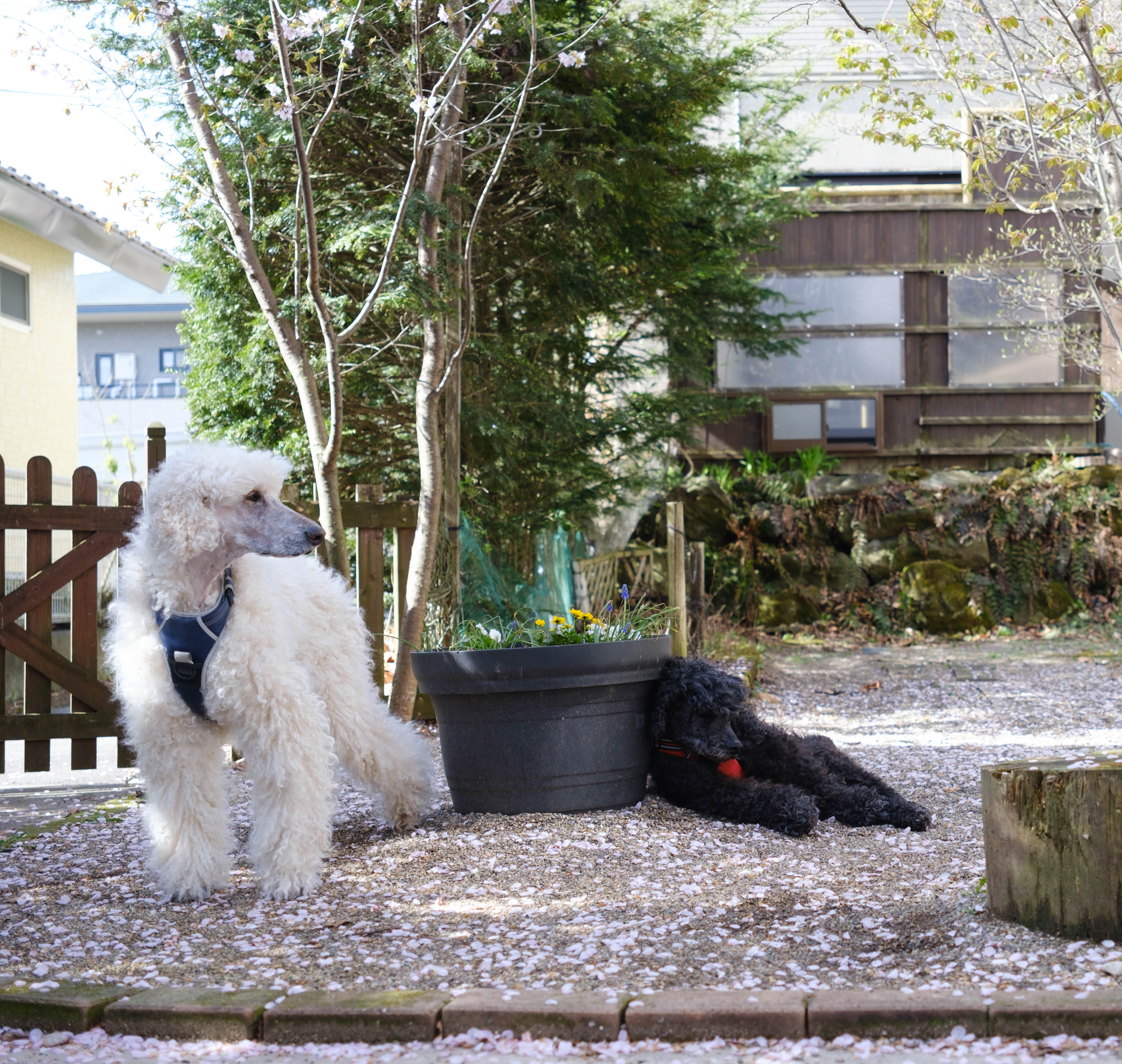 image56